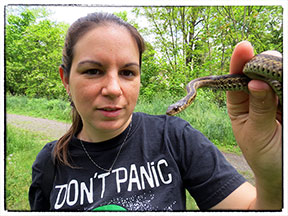 pennsylvania herping snake 2