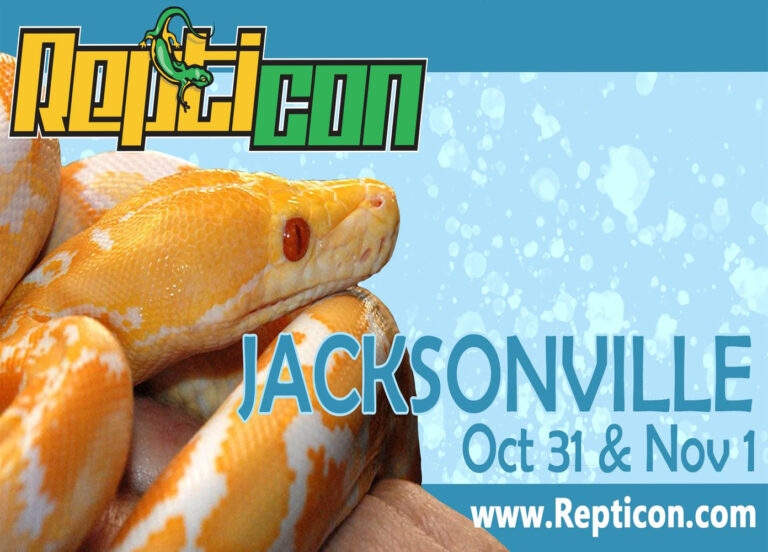 Repticon Jacksonville – Nov 2020